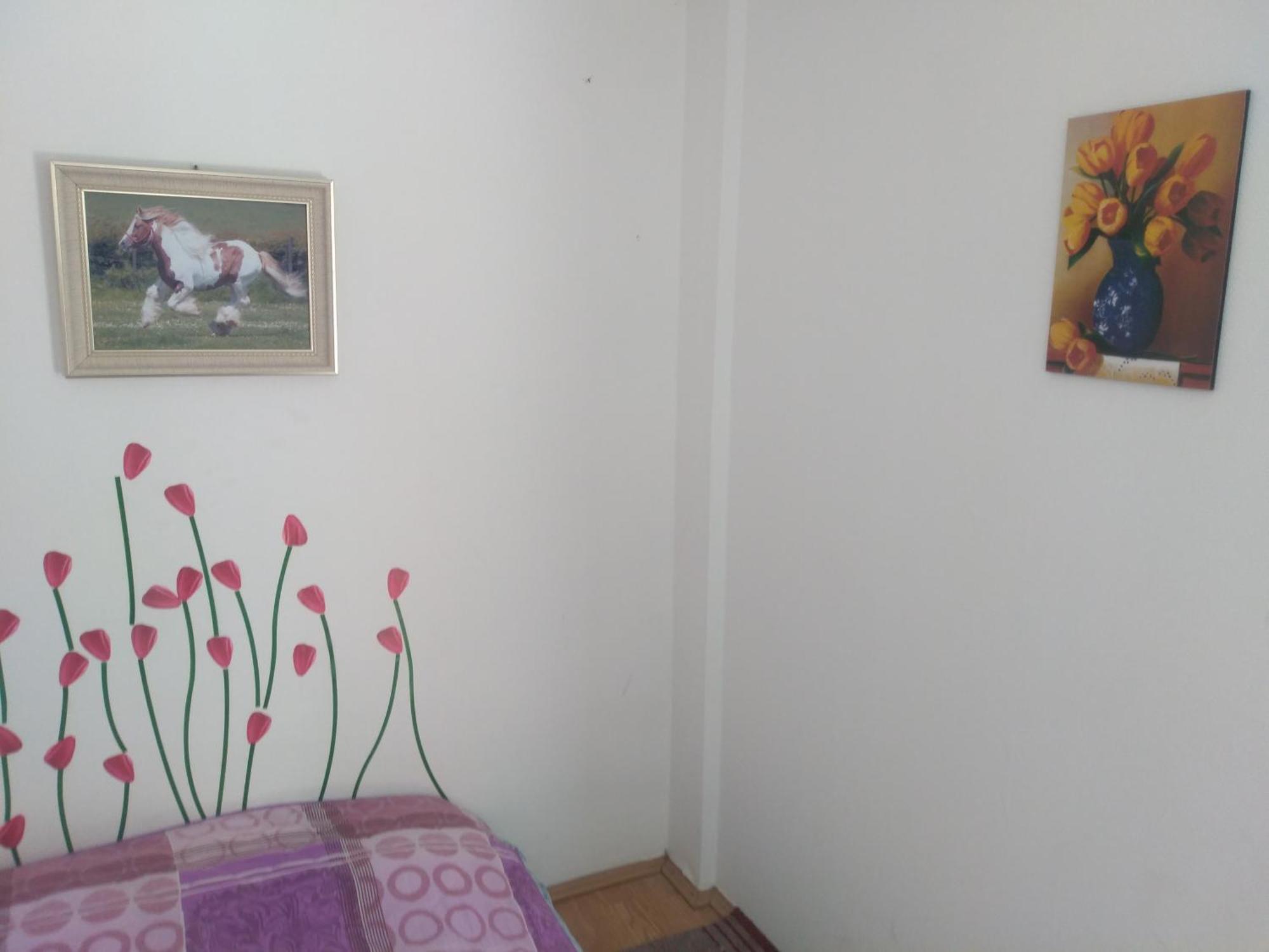 Hostel Trajan Donji Milanovac Esterno foto